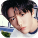 0 (12).png