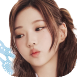 0 (12).png