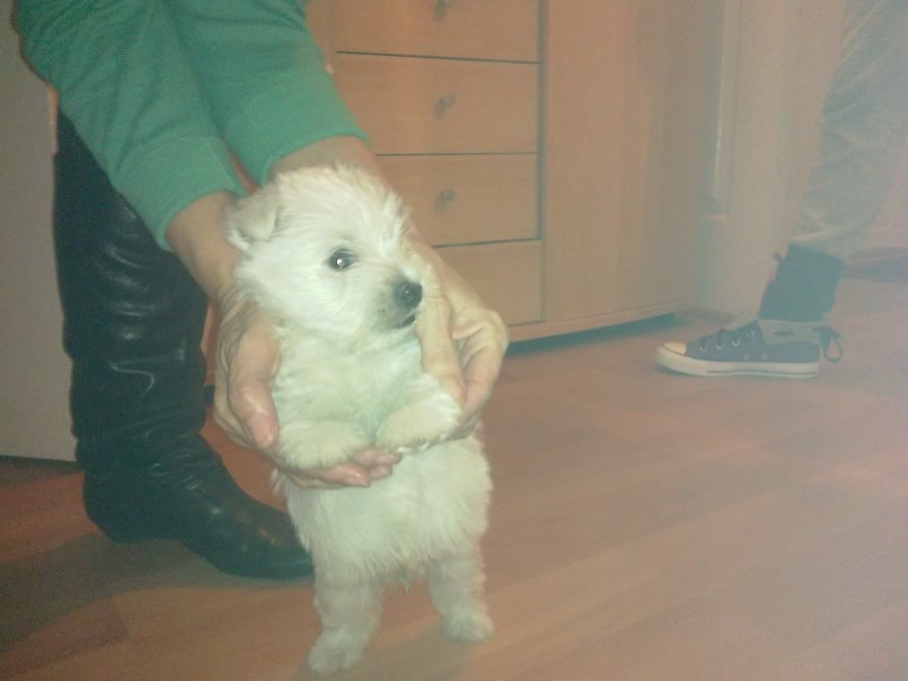 02092011001.jpg