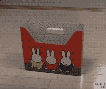 034893AE-0BB4-4C45-B55A-1FD051FECFDD.gif