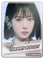 04---Bora-2023-Common.png