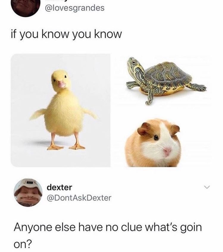 06430BE0-7312-4678-81D4-7F27A64BBB9D.jpeg