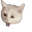 06CE3390-2262-44A9-852E-128BEF160180.gif