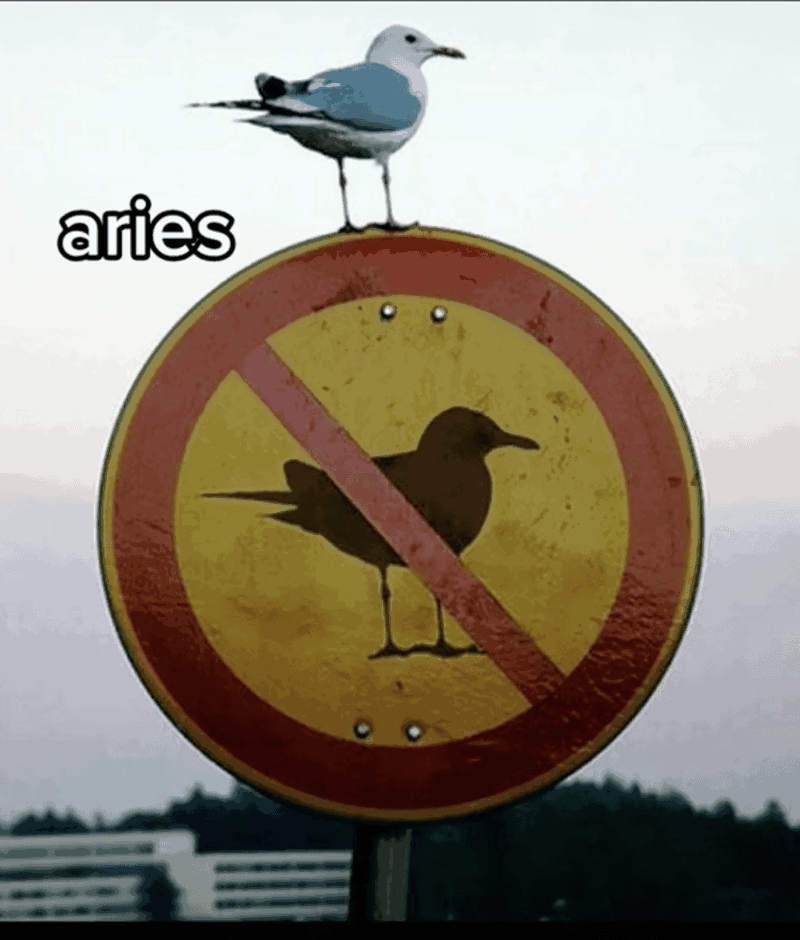 088BC1F1-083D-4C32-B838-0D97B949B6BA.png