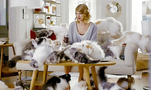 0AFDB355-4953-47CA-8E4C-F14CB1E1C634.gif