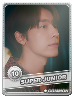 10---Donghae-1.png
