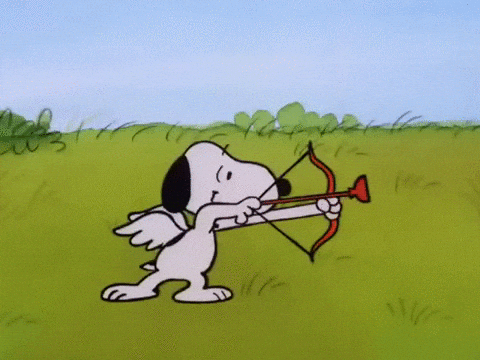 1000012420.gif