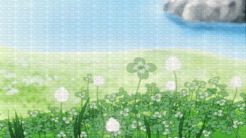 1000013331.gif