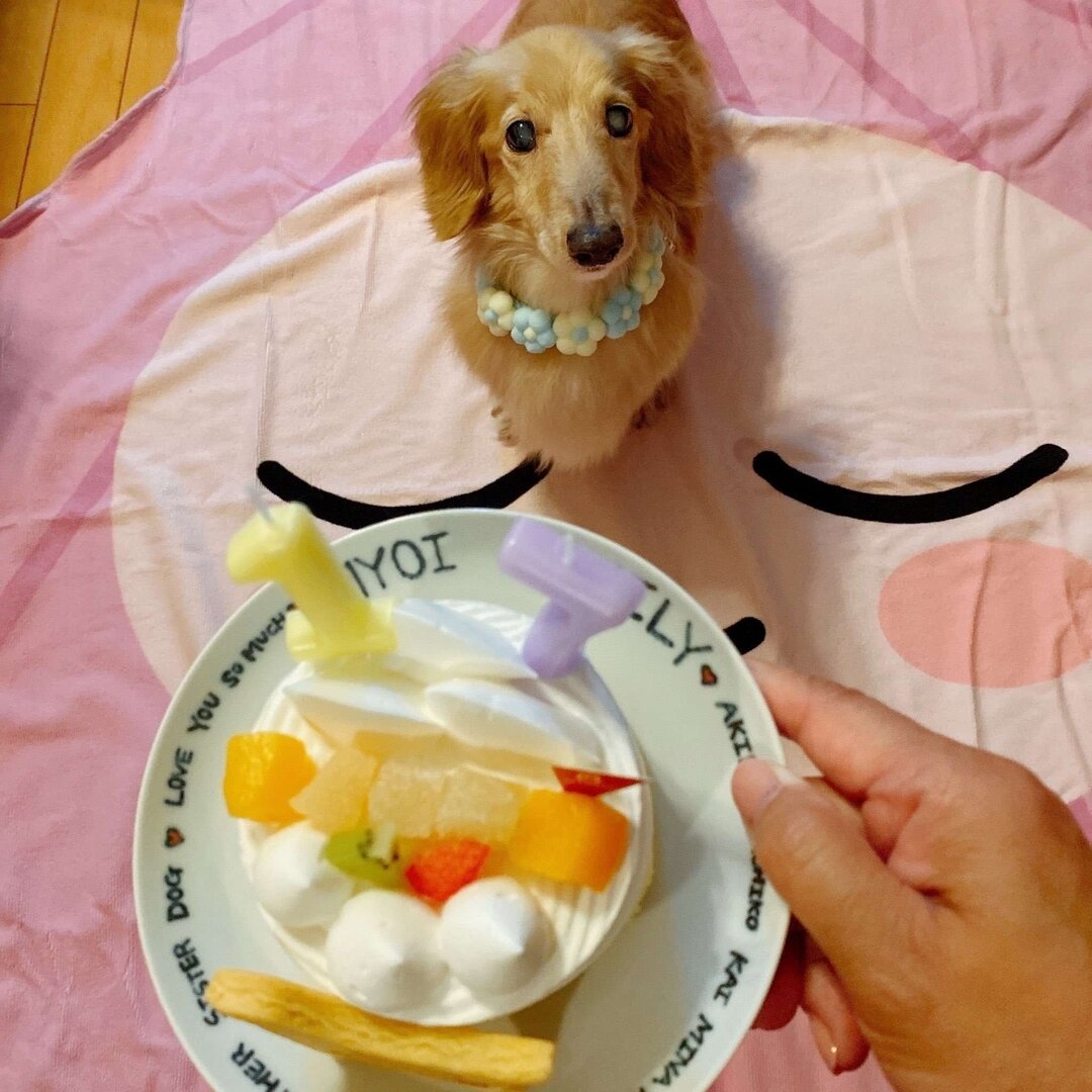 1000026918.jpg