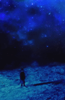 101.gif