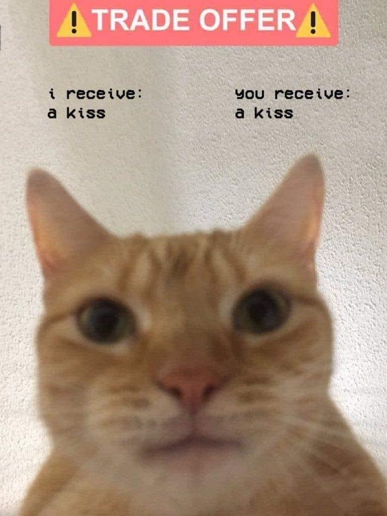 117AA0E3-CA3A-40AC-93B2-5A56FA68E829.jpeg