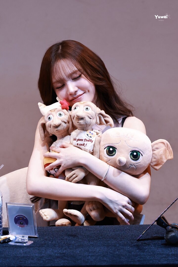 13903.jpg
