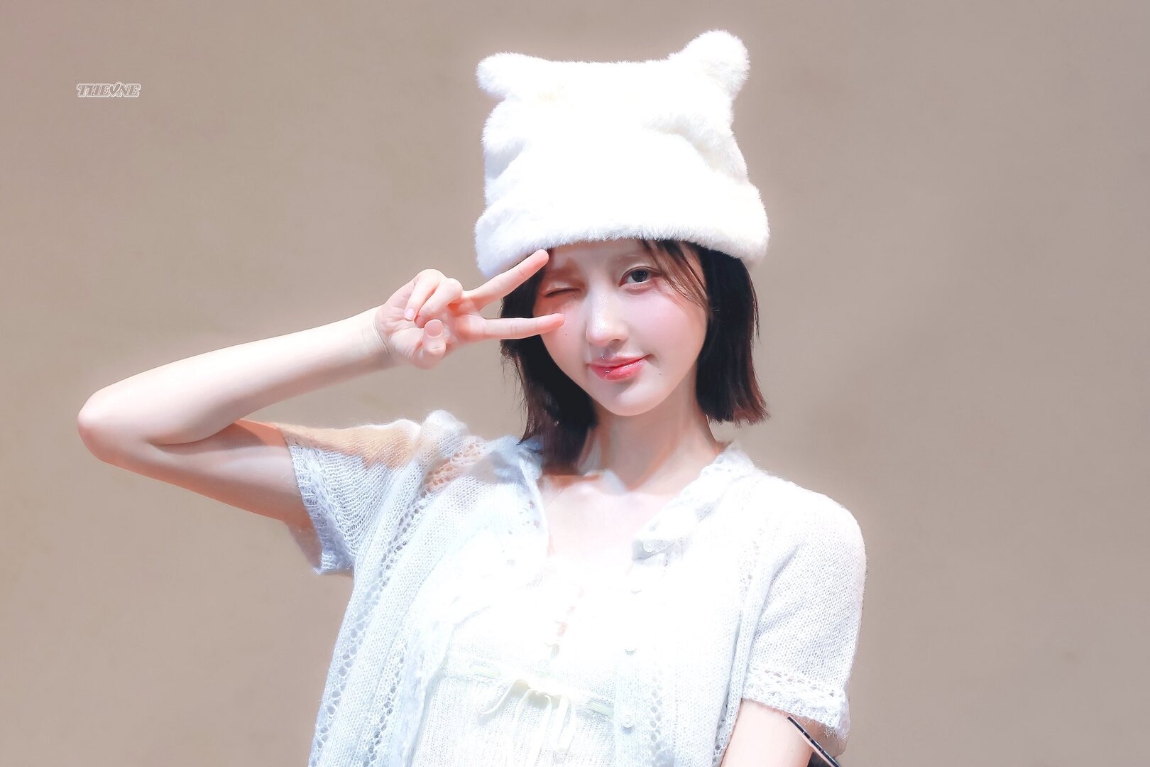 13917.jpg