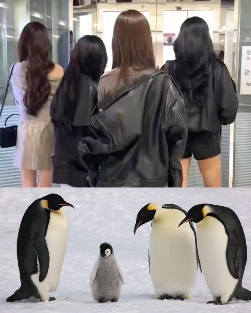 14538.jpg