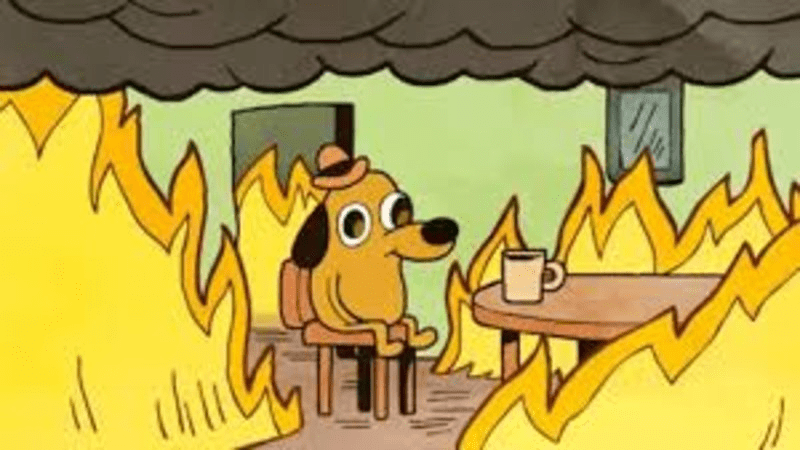 11675