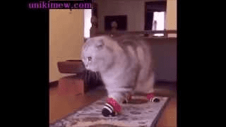 11752