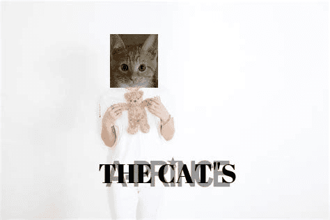 13828