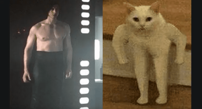 14425