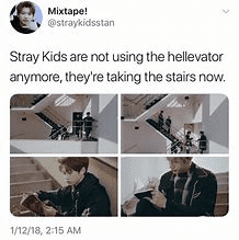 16195