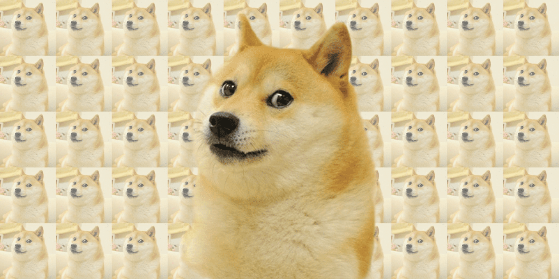 16764