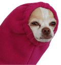 16889