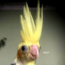 17678