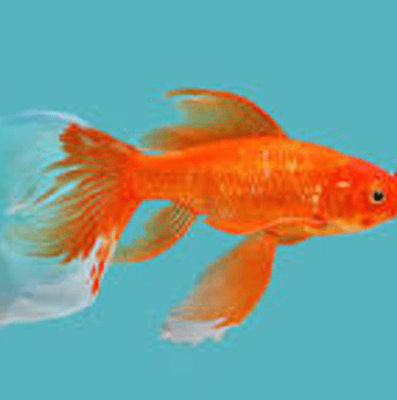 20191