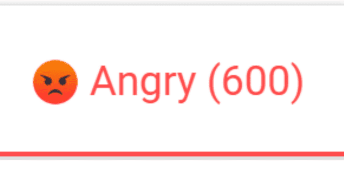 20355