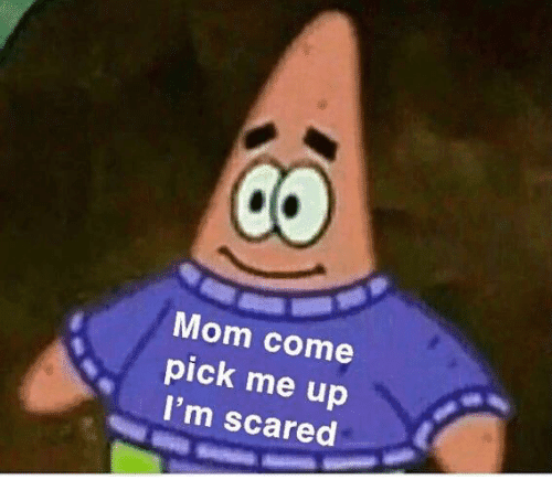 20381