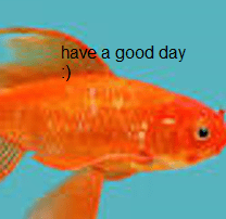 20421