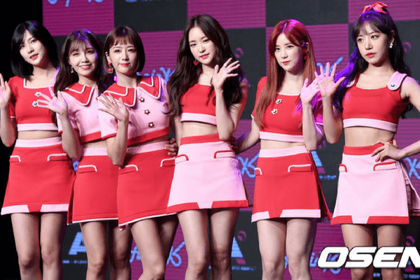 20497