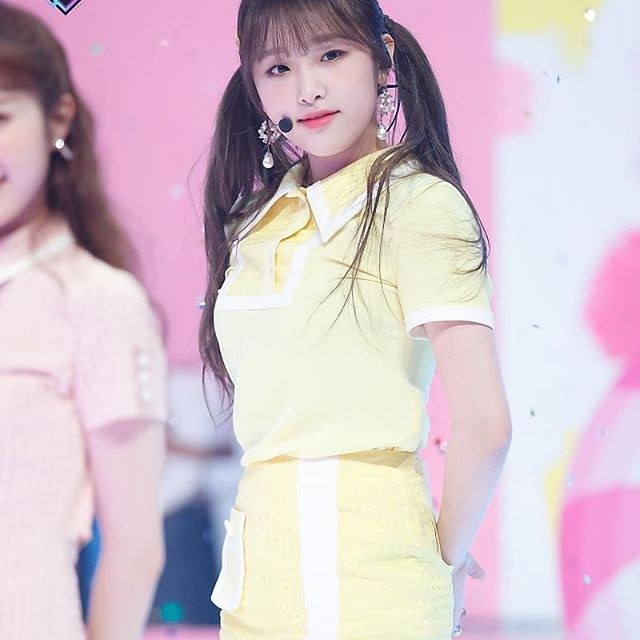 24118
