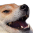28863