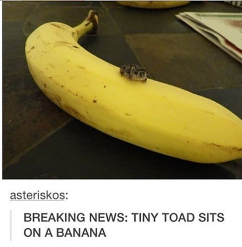 30419