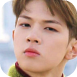 31081