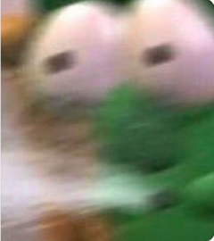 33818