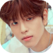43846