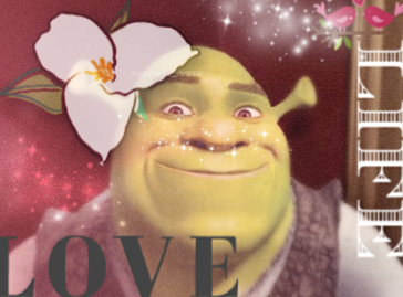 44886