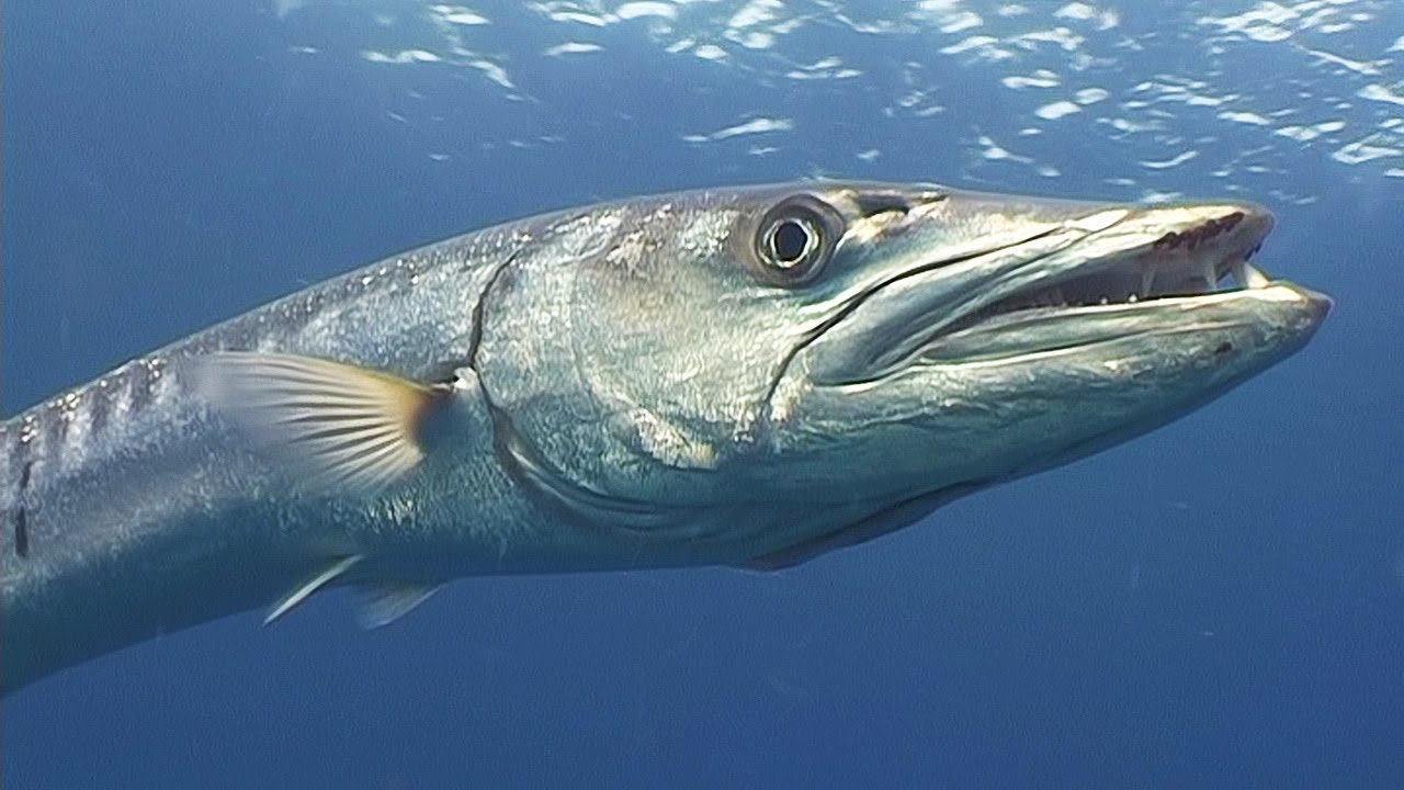 1584974738588.png