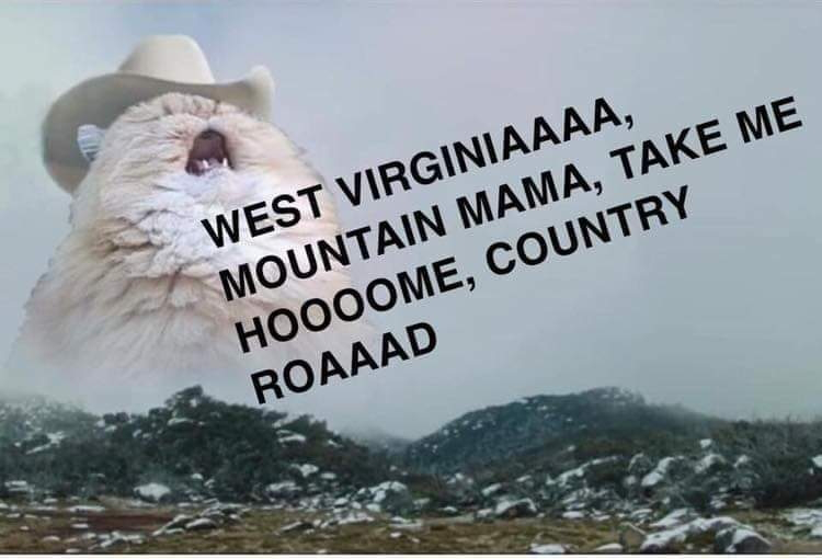 1585149338141.png