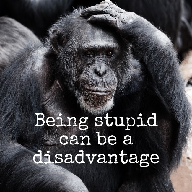 1586106608629.png