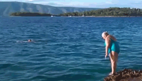 1586223042977.gif
