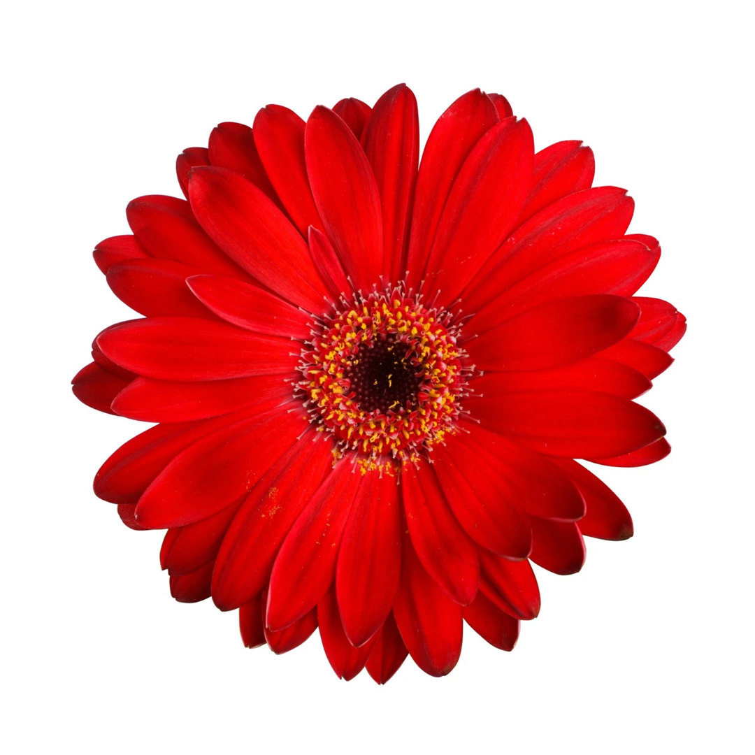1586665919394.png