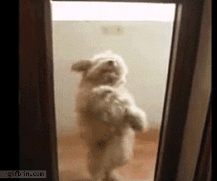 1586722343811.gif