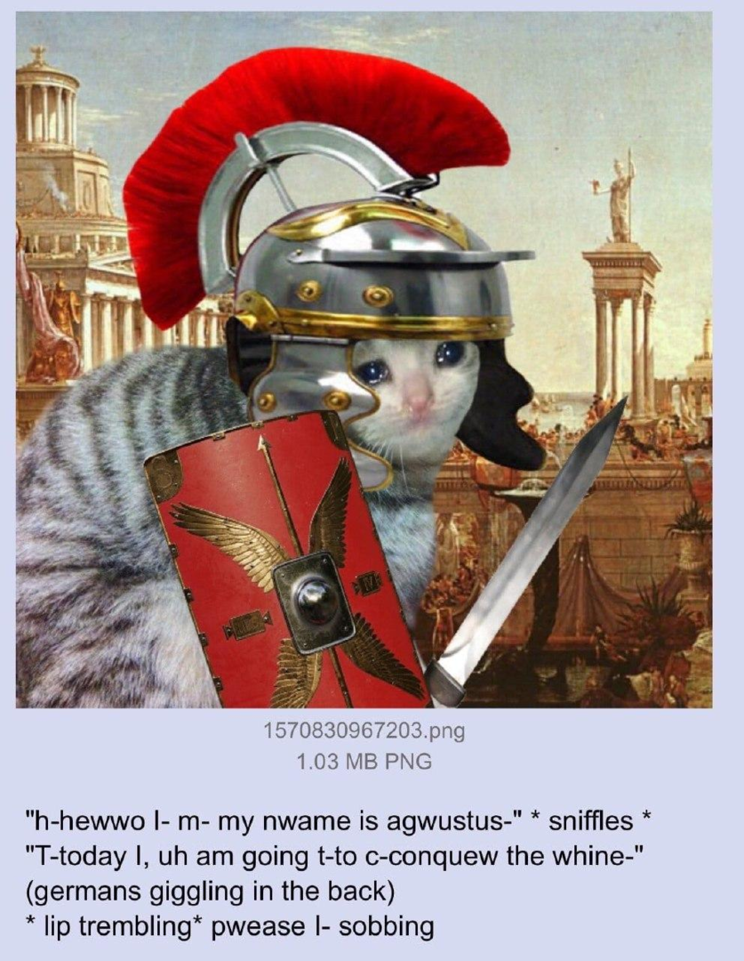 1589178503617.png