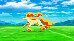1589290448661.png