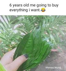1590510074058.png