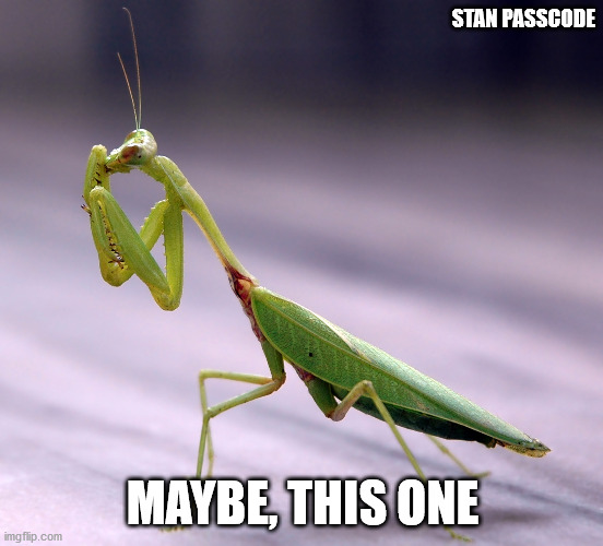 1600023908406.png