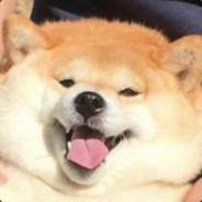 1606926859857.png