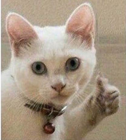 1607789346850.png